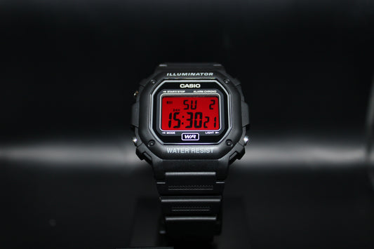 Ruby - Casio F108H Mod